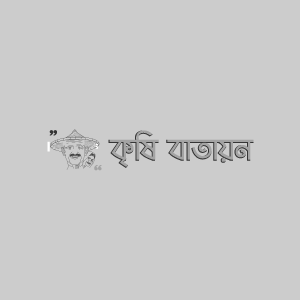 IPSA মটরশুঁটি- ১