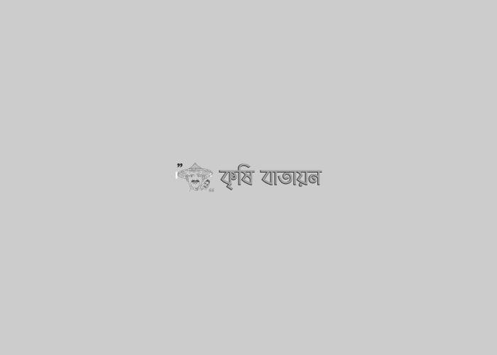 ঘূর্ণিঝড় ‘বুলবুল’ ও বাংলাদেশ